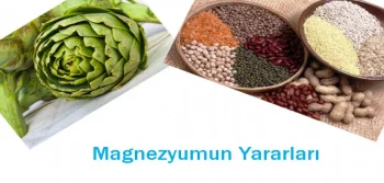 Magnezyumun Faydaları